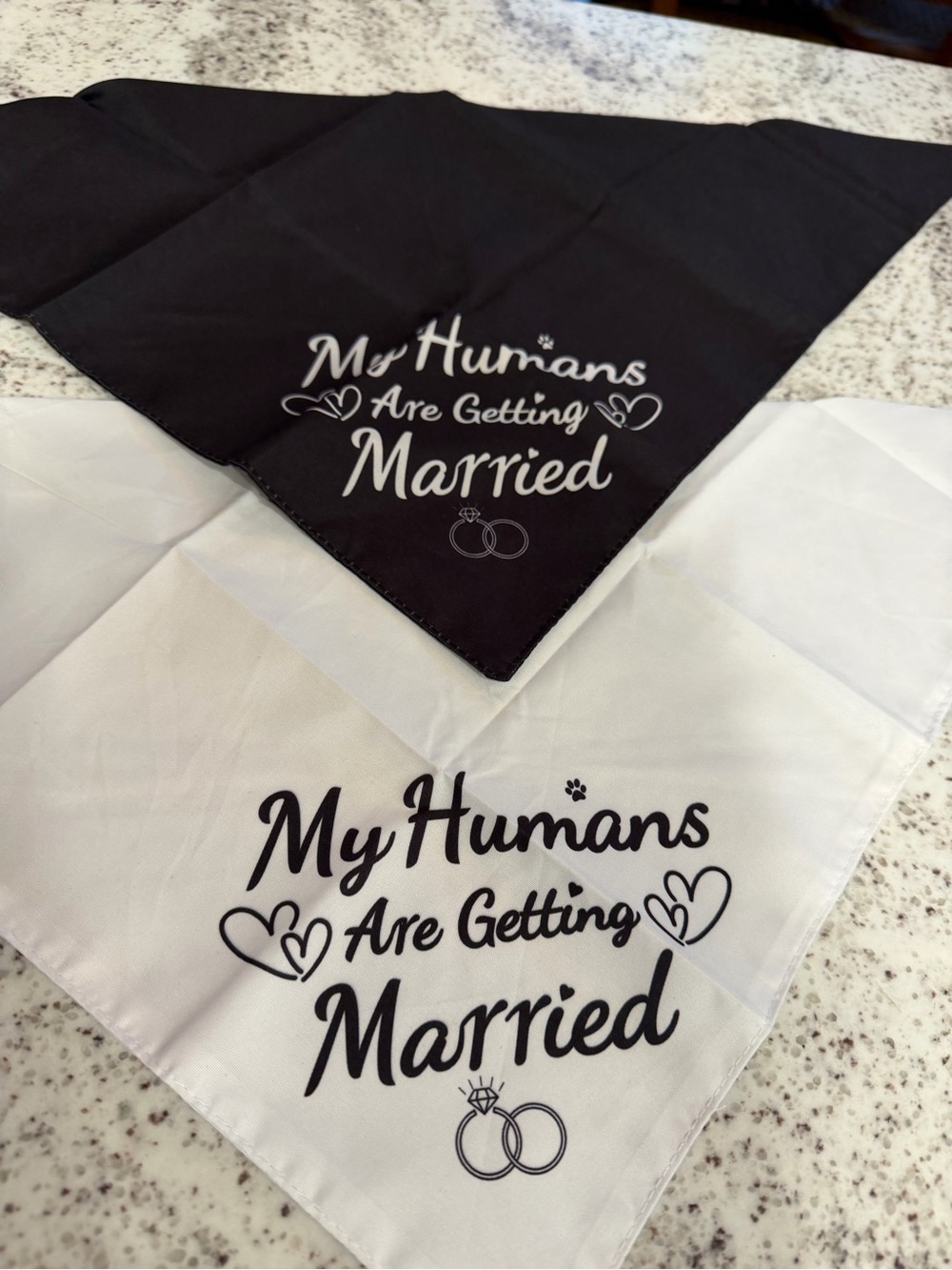 "My Humans Are Getting Married" Pet Bandana Set - Black & White